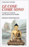 Le Cose come Sono — Libro