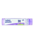 Ledum Palustre 30CH Granuli Boiron