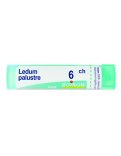 Ledum Palustre 6CH Granuli Boiron