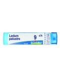 Ledum Palustre 9CH Granuli Boiron
