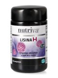 Lisina H
