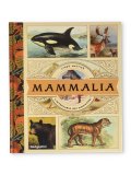 Mammalia - L'Inventario dei Mammiferi — Libro