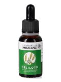 Meliloto