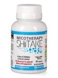 Micotherapy - Shitake Bio
