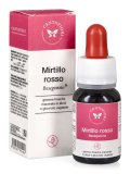 Mirtillo Rosso - Basegemmo