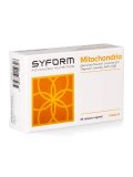 Mitochondria