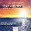 Mp3 - Concentrazione: la Via per il Successo - Audiolibro — Audiolibro