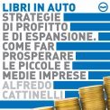 Mp3 - Strategie di Profitto e di Espansione - Come fare prosperare le piccole e medie imprese — Audiolibro