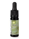 Olive - Dose
