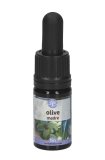 Olive - Soluzione Madre