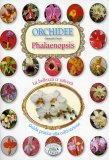 Orchidee - Phalaenopsis  — Libro
