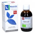 Passiflora - Macerato di Pianta Fresca Bio