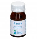 Pausa