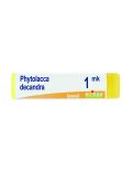 Phytolacca Decandra 1MK Globuli Monodose Boiron