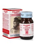 Polgins - Ginseng