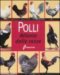 Polli — Libro
