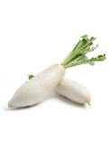 Ramolaccio Lungo Bianco (Daikon) Bio