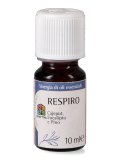 Respiro - Sinergia di Oli Essenziali - Cajeput, Eucalipto e Pino