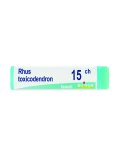 Rhus Toxicodendron 15CH Globuli Monodose Boiron