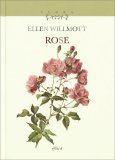 Rose — Libro