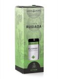Rugiada 06 - Elicriso