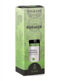 Rugiada 16 Ribes nigrum