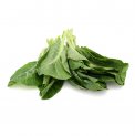 Semi di Bietola da Costa Liscia Verde da Taglio Bio