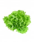 Semi di Lattuga da Taglio Bionda a Foglia Riccia Bio