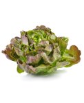 Semi di Lattuga Ubriacona Bio