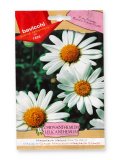 Semi di Margherita Leucantemo
