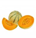 Semi di Melone Cantalupo Bio