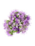 Semi di Phacelia Biologici