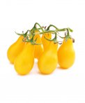 Semi di Pomodoro Yellow Submarine Bio