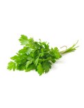 Semi di Prezzemolo Comune 2 Bio