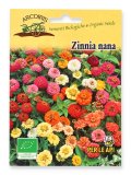 Semi di Zinnia Nana per le Api