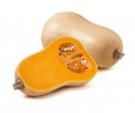 Semi di Zucca Butternut Bio