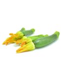 Semi di Zucchino Ortolana di Faenza Bio
