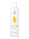 Shampoo Bio Uso Frequente