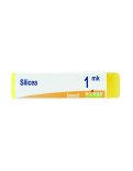 Silicea MK Globuli Monodose Boiron