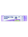 Solidago Virga Aurea 30CH Granuli Boiron