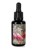 Sport Remedy - Dose