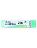 Thuya Occidentalis 200CH Granuli Boiron