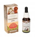 Transition Pets Animal