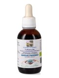 Verbasco Bio