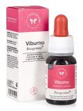 Viburno - Basegemmo