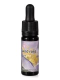 Wild Rose - Dose