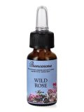 Wild Rose - Fiori di Bach