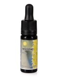 Willow - Dose